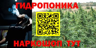 ПСИЛОЦИБИНОВЫЕ ГРИБЫ Ярцево