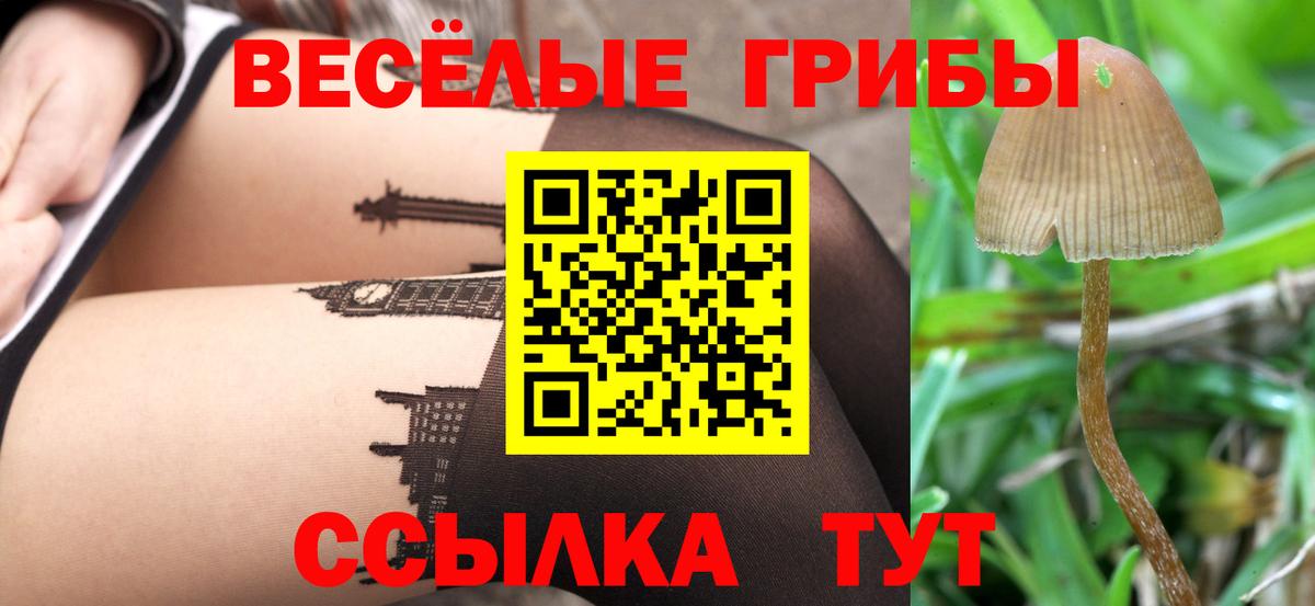 Галлюциногенные грибы Psilocybe  Псилоцибиновые грибы Cubensis  Алатырь  Вход с VPN 